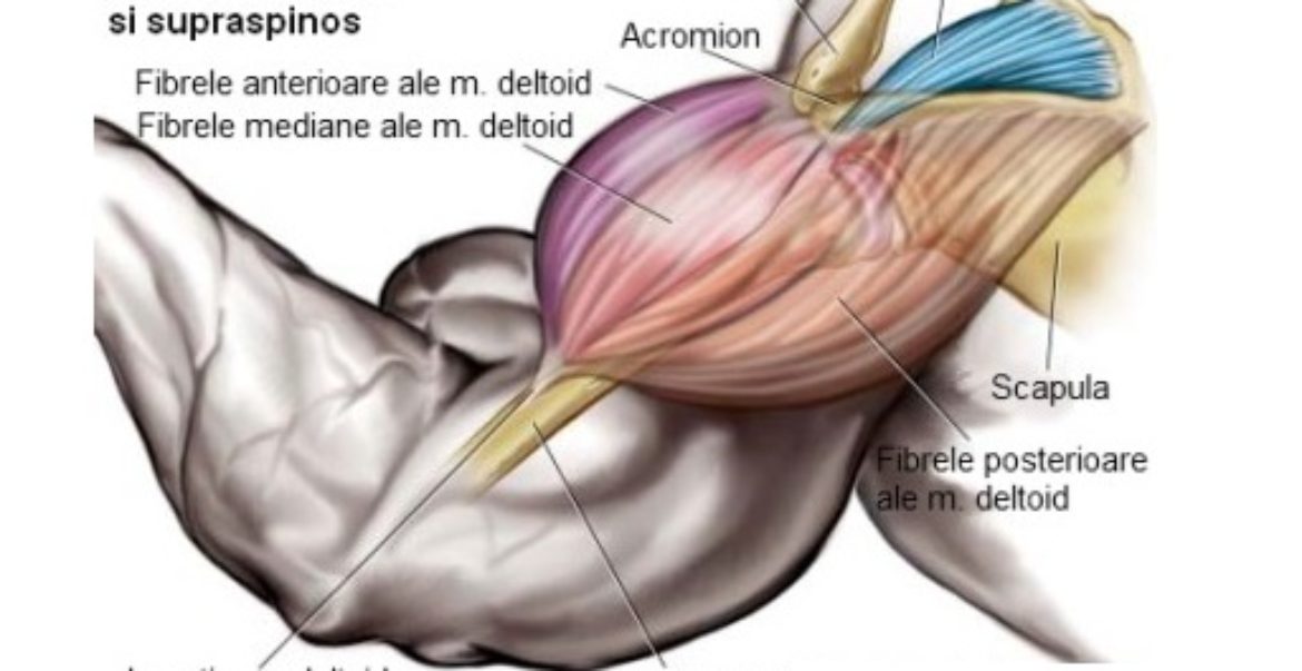 injecții pentru durere la nivelul articulațiilor șoldului unguent pentru bursita articulației șoldului